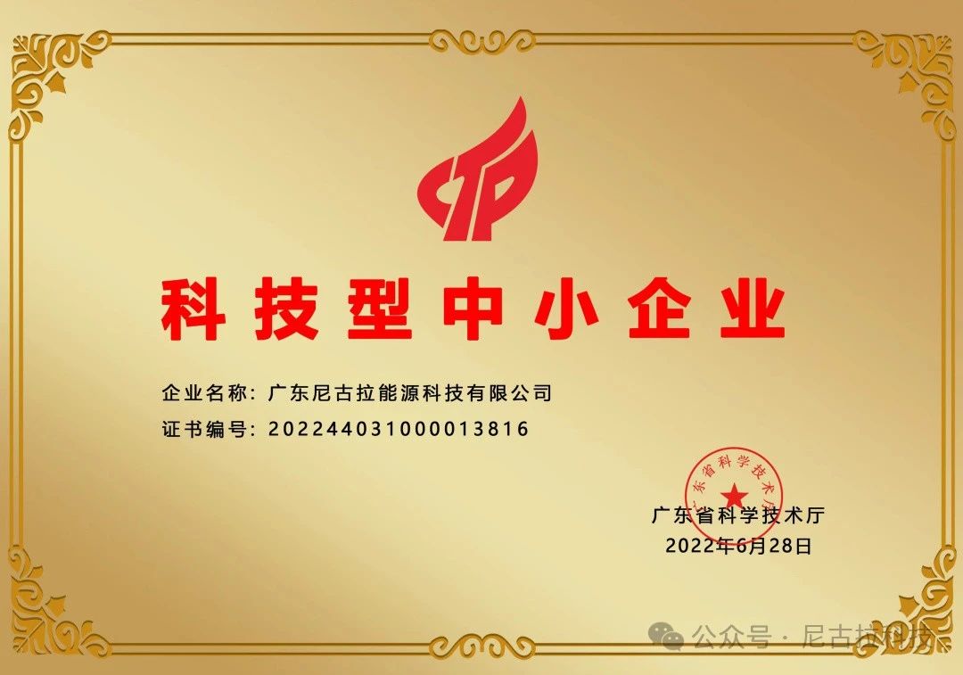 【奋进新征程2024】瑞“兔”辞旧岁，祥“龙”启新春