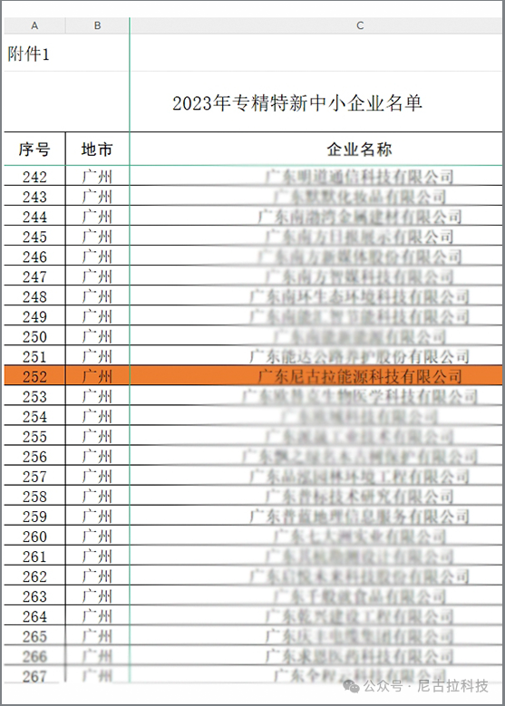 【奋进新征程2024】瑞“兔”辞旧岁，祥“龙”启新春