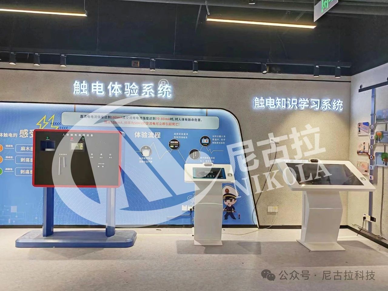 【奋进新征程2024】瑞“兔”辞旧岁，祥“龙”启新春